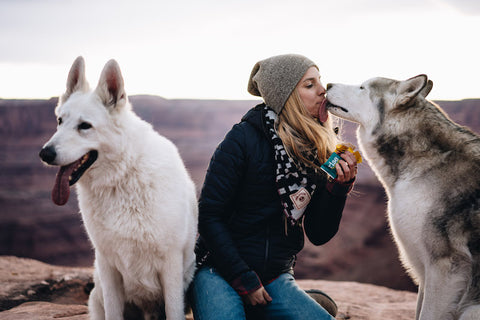 Rise Bar x Loki the Wolf Dog Epic Giveaway
