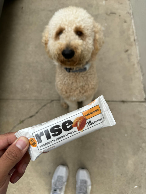 Meet the Almond Honey Rise Bar: The Simplest Protein Bar Ever!