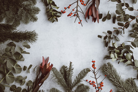 Holiday Gift Guide for Fitness Lovers