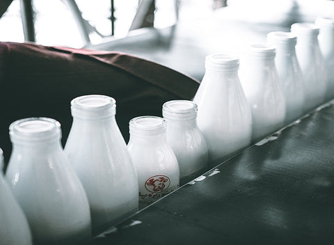What the Whey? Breaking Down Whey Protein Isolate