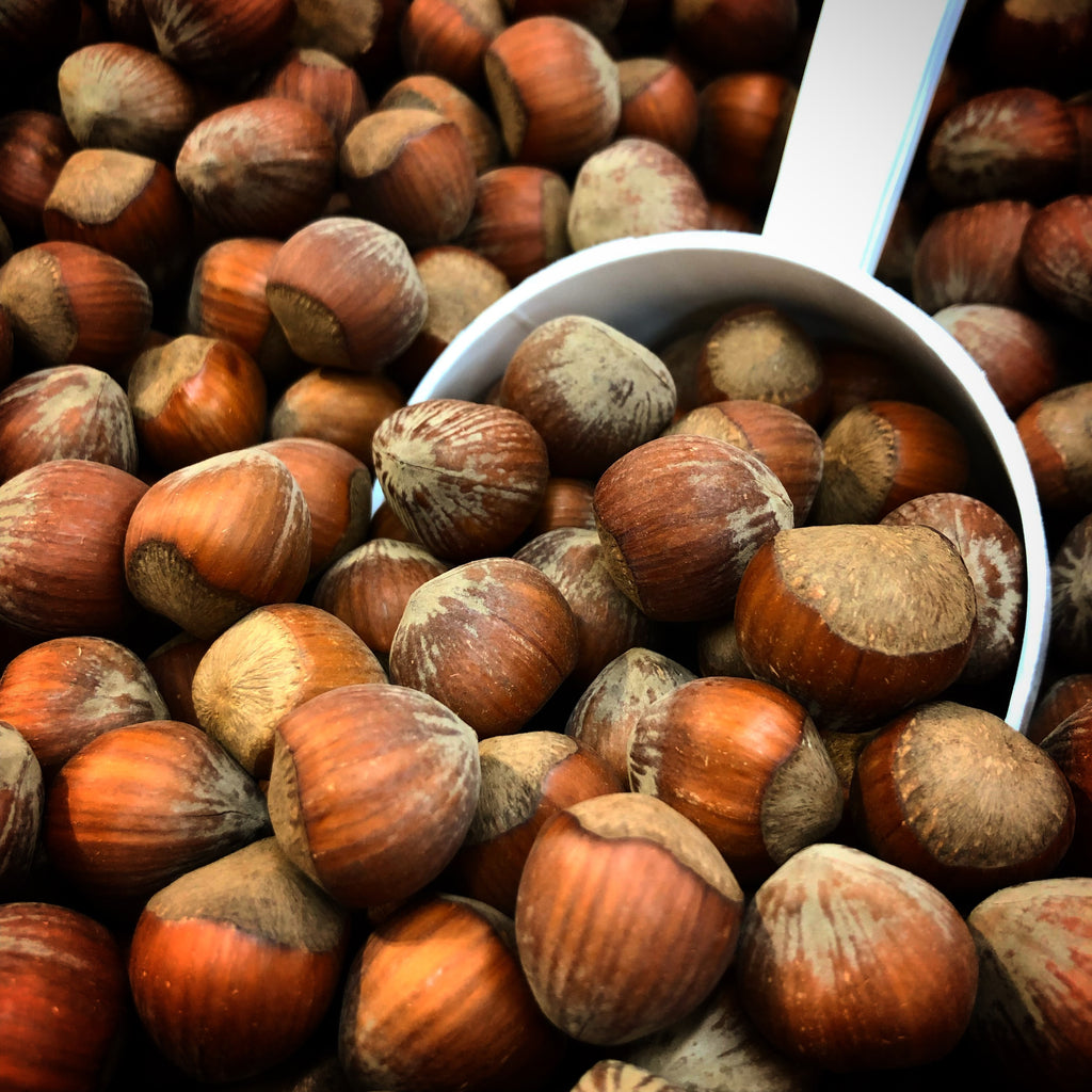 These Benefits of Hazelnuts Make Them Worth Eating Weekly Rise Bar