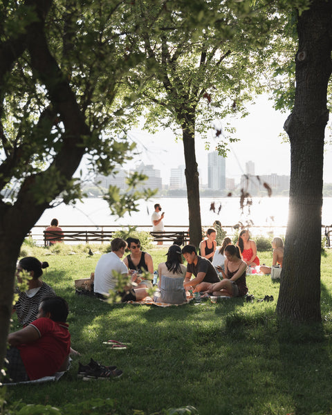 8 Healthy Picnic Snack Ideas, Whether You Have Time or Not