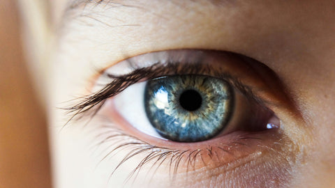 Yoga, Protein Bars, and More: Daily Habits for Better Vision