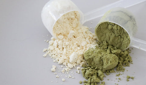 Protein Powder