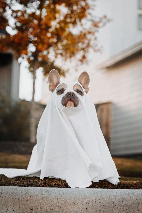 5 Ways to Have a Healthy Halloween This Year