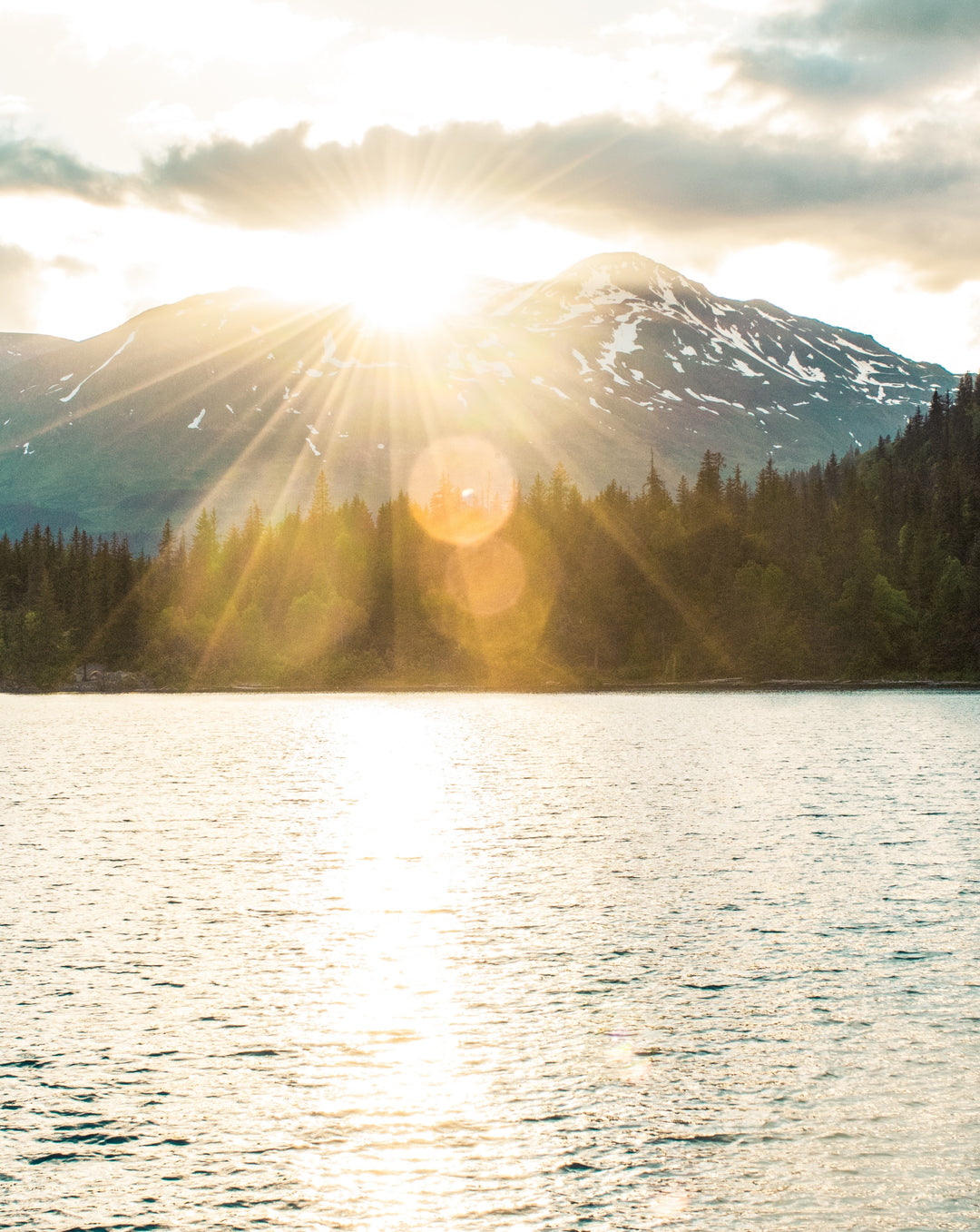 Why The Sun is Good For You 7 Radiant Benefits of Sunlight Rise Bar