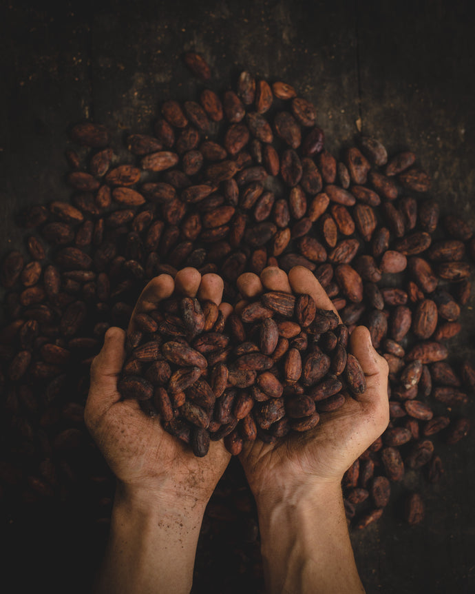 Everything You Need To Know About Carob Powder