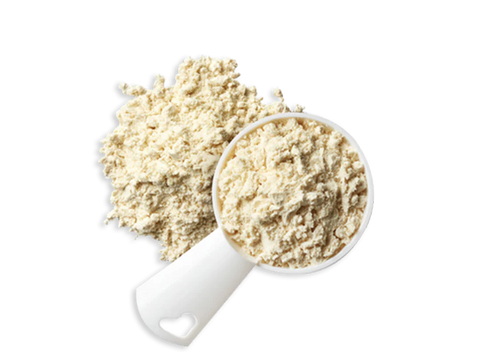 Whey or Plant Protein